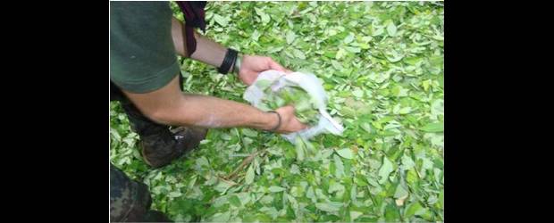 Ejército golpea al narcotráfico en Vichada | Cortesía | La Octava División del Ejército Nacional realizó diversos operativos en los que se destruyeron laboratorios del narcotráfico y se frustró un atentado.