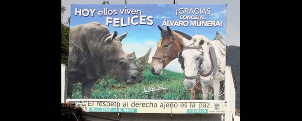 Múnera se presenta con creatividad | Manuel Saldarriaga | Sobre la calle 10 en El Poblado está ubicada esta valla de agradecimiento al trabajo en defensa de los animales que realizó Álvaro Múnera en su anterior periodo como concejal de Medellín. Múnera está aspirando de nuevo al Concejo por el Partido Conservador.