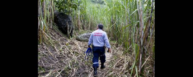 Campesino muere atacado por abejorros | Esteban Vanegas | En este sector de la vereda Jamundí, entre varias piedras permanece el enjambre de abejorros que acabó con la vida de don Ramón.