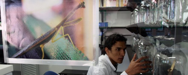 Los números para doctores | Archivo | El viceministro Burgos, explicó que la mayoría de doctores están en la academia porque no hay muchas empresas que hagan investigaciones. Foto en Unal.