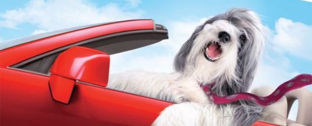 Programación de televisión, domingo 13 de marzo