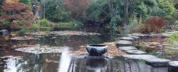 Con educación y apoyo florece la ciudad verde de Leverkusen | Lilliana Vélez de Restrepo | Además de recuperar el río Rin, las fuentes hídricas en esta ciudad son tratadas en la planta de tratamiento de aguas Bottrop. El manejo del agua es hoy una política legislativa no solo de Alemania sino de la Unión Europea.