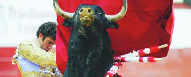 El mundo taurino espera con ansias el regreso de José Tomás | Archivo | El universo taurino cuenta los días para la reaparición de José Tomás. Por lo pronto, ferias importantes como la de Valencia y Sevilla no cuentan con él para sus carteles. Algunos allegados han informado que Tomás volverá a los ruedos para el final de la temporada española. También se rumora que el diestro quiere reaparecer en la misma plaza donde fue corneado, es decir, en Aguascalientes, México.