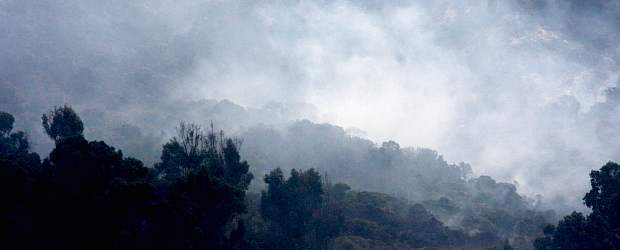 Incendio forestal en los cerros nororientales de Bogotá | Colprensa | El incendio comenzó el sábado pasado. Por fortuna no ha dejado personas lesionadas.