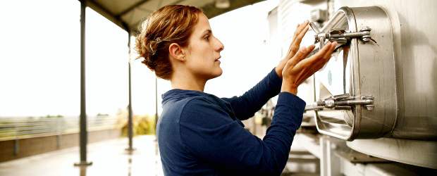 Llegaron las calificaciones: ¡Bibiana sacó 94! | Cortesia | El Pinot Noir calificado con 90 puntos. Ya los González lo debieron devorar.