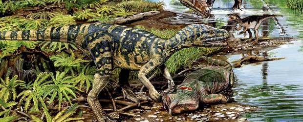 Parece que entramos en la sexta extinción | Cortesía | El clima extremo, el volcanismo, la atmósfera irrespirable y hasta asteroides han provocado las grandes extinciones. ¿Qué pasará en los próximos milenios?