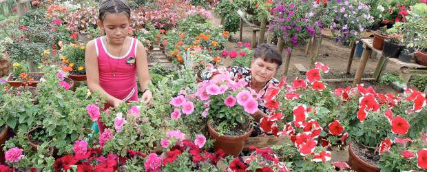San Cristóbal muestra lo suyo | Archivo | En la vereda La Cuchilla del corregimiento de San Cristóbal también está el Museo Vivo de las Flores, de la señora Ofelia Correa Vélez. Ese es uno de los proyectos que promovía William Román, el líder local asesinado hace poco.