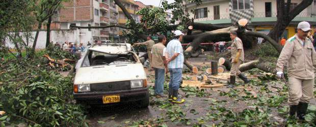 Caos vial y daños por aguacero | Rodrigo Martínez | El conductor de este Renault 9, Julián Vélez, luego de que este árbol de caucho destrozó la capota, tuvo que salirse por una de las puertas trasera de su carro.
