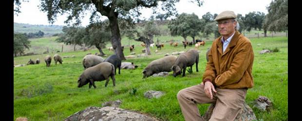 Un accidente de tránsito le quitó la vida al ganadero Juan Pedro Domecq | Cortesía | Juan Pedro Domecq.