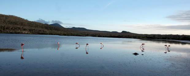 Galápagos o las islas del paraíso
