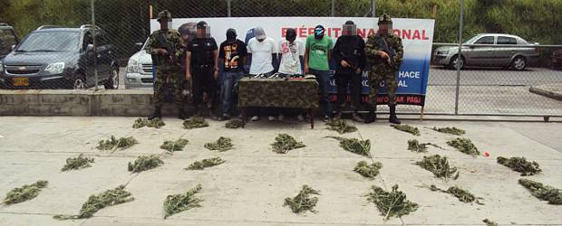 Desmantelado cultivo de marihuana transgénica en Bello | Cortesía | Los cuatro detenidos serían integrantes de la banda "Las chatas".