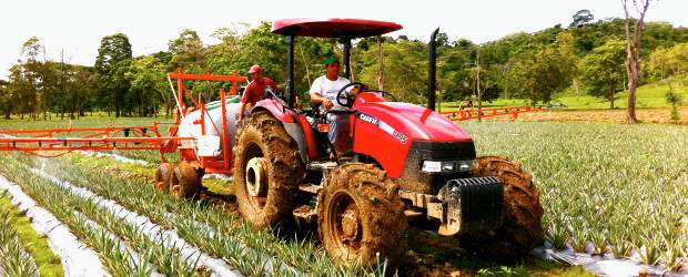 Invertir en el campo es otra alternativa | Archivo |