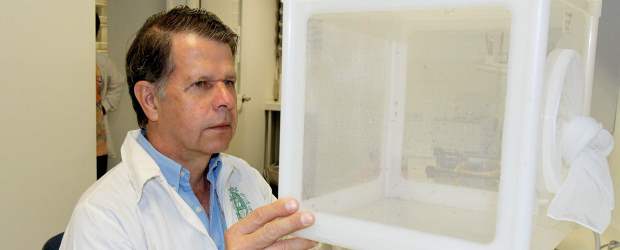 Avanza vacuna antidengue | Donaldo Zuluaga | Iván Darío Vélez afirma que de llegar a la vacuna, Colombia contaría con acceso privilegiado debido a su aporte a la investigación. En estos dispositivos, los científicos de la Universidad de Antioquia mantienen mosquitos transmisores de enfermedades tropicales como el dengue y la malaria.