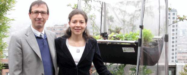 Estas plantas crecen en medio metro de la casa | Cortesía | Felipe Londoño y Sara Caicedo decidieron implementar una sencilla solución para sembrar plantas aromáticas o vegetales en el interior del hogar.