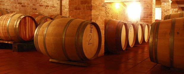 Sauvignon boyaco es subcampeón mundial | Archivo