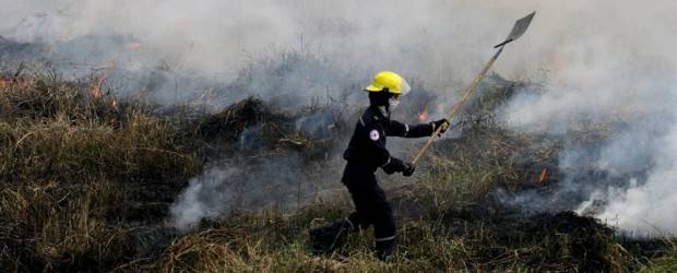 Tenga cuidado con los incendios forestales | Archivo | Evitar fogatas al salir de paseo, arrojar colillas de cigarrillo o vidrios son algunas de las recomendaciones.