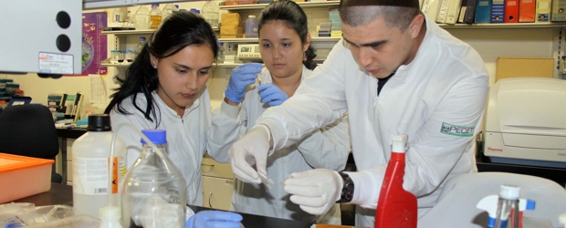 XIII Versión EL COLOMBIANO Ejemplar | Postule a los Colombianos Ejemplares hasta el 4 de noviembre de 2011 en las categorías: Colombianos en el exterior; Solidaridad, Cultura, Ciencia y tecnología, Medio ambiente, Deporte, Turismo, Economía e Infantil.