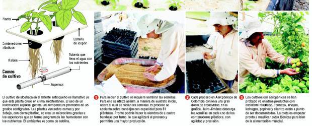 Aeropónicos o la comida sin tierra | Robinson Sáenz