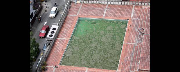 En Torres de Bomboná asusta un "vecino indeseado" | Hernán Vanegas | La Secretaría de Salud de Medellín visitó esta piscina ubicada en una de las terrazas de las Torres de Bomboná y confirmó que no había presencia de zancudos transmisores de enfermedades. No obstante, la comunidad está alarmada.