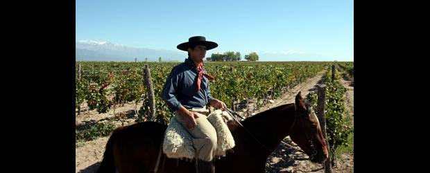 Argentina supera la crisis | Cézaro De Luca, Efe | Un gaucho recorre los viñedos de la bodega O. Fournier, instalada en La Consulta, Mendoza, una tierra de suelos áridos rematados por el hielo de Los Andes.