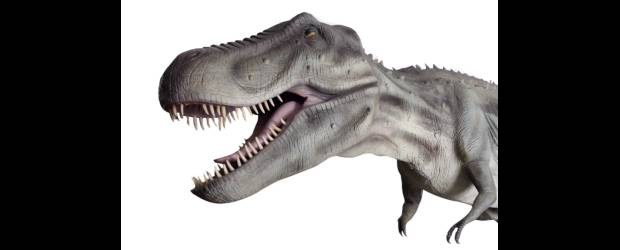 El Juan Pablo II es tierra de dinosaurios | Donaldo Zuluaga |