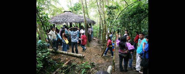 Indígenas tule temen a grupo ilegal en Unguía | Archivo | Las comunidades indígenas que habitan en Chocó han denunciado en varias ocasiones la incursión de guerrillas y bandas criminales en sus territorios.