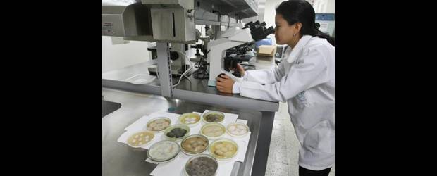 Nuevo diccionario médico | Archivo | El diccionario recoge términos de 26 especialidades de la medicina. Los autores aseguran que es el primero de estas características en América Latina.