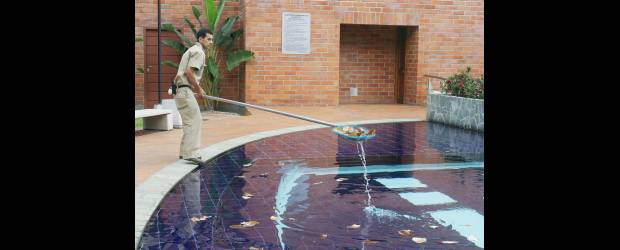 Se busca promover la seguridad | En Antioquia hay 1503 piscinas de uso colectivo, de las cuales sólo 391 tienen concepto favorable por cumplir con la totalidad de los requisitos.
