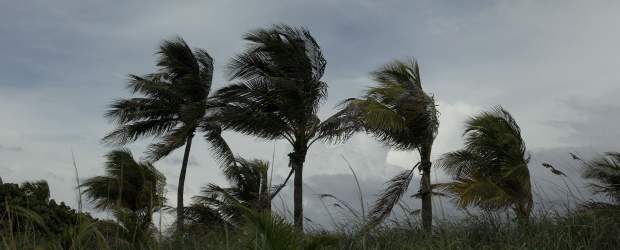 Se formó la tormenta tropical Nicole sobre el centro de Cuba | AP | Los vientos máximos sostenidos de Nicole son de 65 kilómetros por hora.