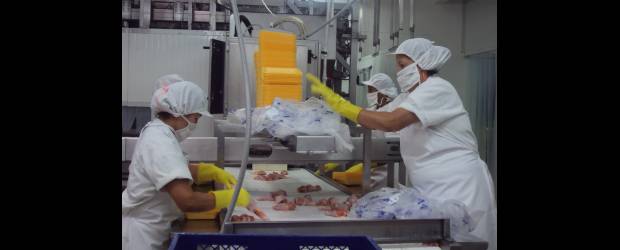 Más mercados para Idecampo | Cortesía | Las exportaciones de partes del pollo, especialmente de patas y alas, es una línea en la que se está consolidando la empresa Idecampo.