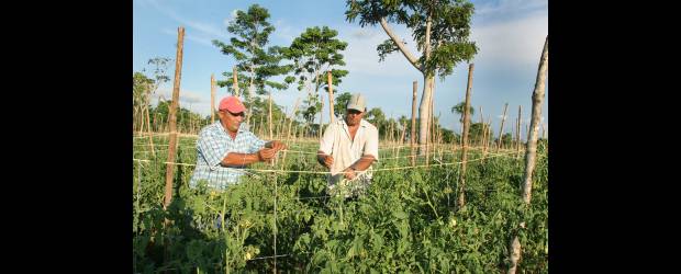 Agrofuturo reúne expertos del agro | Juan Antonio Sánchez | El Foro tiene un costo de 180 mil pesos y el Congreso de 240 mil, (30 por ciento de descuento para socios Intelecto). 290 mil si está interesado en asistir a ambos eventos, 30 mil el ingreso por tres días a la muestra comercial. Agrofuturo se realiza con el apoyo de Minagricultura, la Gobernación, Augura y la Andi.