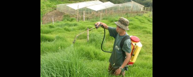 Es cuestión de trabajo en equipo | Archivo | El año pasado en Colombia se recolectaron 683 toneladas de residuos.