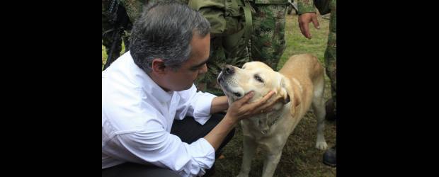 Sacha: soldado irremplazable | Colprensa | El ministro Rodrigo Rivera pasó revista a las tropas en La Macarena y jugó con los caninos compañeros de Sacha, la perrita que murió en el ataque.