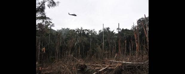 Abatido "Silver" en bombardeo a las Farc | Archivo | En la operación Darién murieron cinco guerrilleros entre los que se presume está el jefe del frente 57 de las Farc, alias "Becerro". El ministro de Defensa, Rodrigo Rivera, confirmó la muerte de Silver, jefe financiero del grupo guerrillero. Esta imagen corresponde a operaciones anteriores en el sur de Colombia.