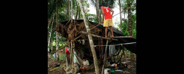 Nukak Makú, con cédula pero sin hogar | Archivo | Los Nukak Makú hacen parte de las etnias colombianas en riesgo de desaparecer. Habitaban las selvas del Guaviare pero la llegada de la guerrilla y los colonos que empezaron a sembrar coca marcó el comienzo del fin de la última etnia nómada del país.