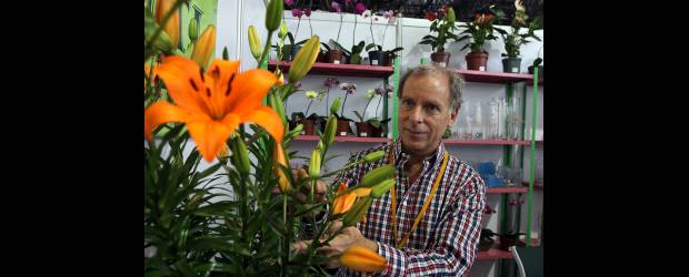Perfetti tiene flores de exportación | Robinson Sáenz | Los lirios de exportación son una de las flores que más solicitan a Perfetti Flowers. La diferencia con respecto a las que se consiguen usualmente en el mercado es que estas tienen tallos muy largos y rectos, y una mayor duración en floreros.