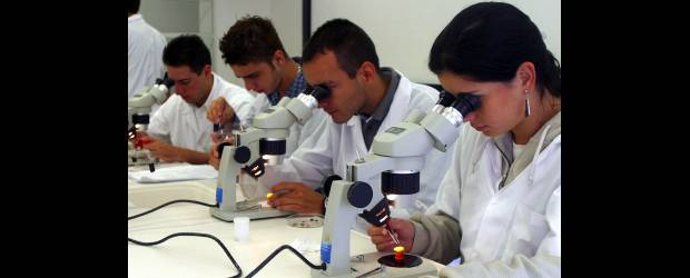 Matrimonio seguro entre las U. y las empresas | Archivo | En la propuesta del Gobierno Nacional para la ley de educación superior se incluyen tres posibilidades para que el sector privado se vincule al educativo: crear instituciones con ánimo lucro, unirse a otras que no tengan ese ánimo o realizar convenios para desarrollar proyectos.