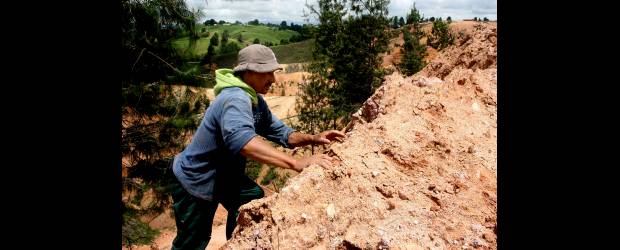 Bioingeniería para amarrar la tierra | Archivo | El vetiver es una de las plantas que sirven para revegetalizar y recuperar taludes erosionados, en especial porque tiene raíces largas. Su utilización se está extendiendo en el mundo y recientemente en Colombia. En la imagen, un terreno erosionado en la vereda La Granja, Santa Rosa de Osos.