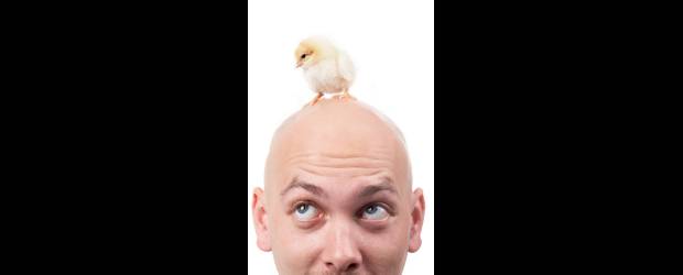 No pierda la cabeza por un pelo |