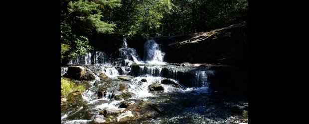 Si trabaja por el medio ambiente puede participar en Premio del Área | Archivo | El cuidado de los recursos naturales, en cualquiera de sus formas, es motivo de exaltación y premiación por parte del Área Metropolitana.