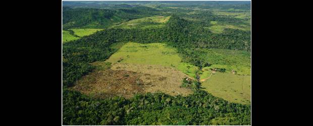 Caen y caen palos en la Amazonia | Cortesía | Hacia 2004 la deforestación de la Amazonia era de 27.000 km2 en Brasil. Ha bajado, pero vuelve al alza. Ese país es gran emisor de gases de invernadero.