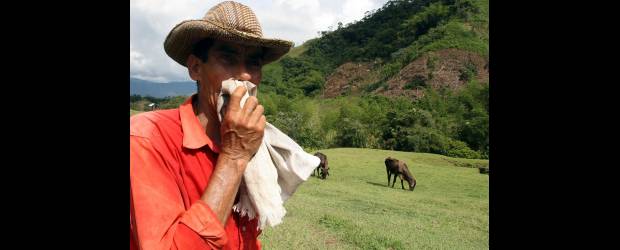 Víctimas inician el año con terrenos propios | Archivo | En los próximos días se espera terminar con la transferencia de 1.300 hectáreas que han sido objeto de extinción de dominio provenientes de la DNE.