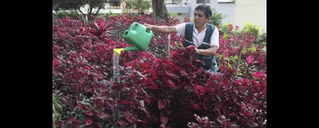 El parque que reduce la temperatura | Hernán Vanegas | Los diversos jardines del parque y la frondosa vegetación refrescan el entorno del parque de Manzanares, en la calle 2A con la 55A, a un lado de Campoamor. Una experiencia comunitaria que produce resultados.