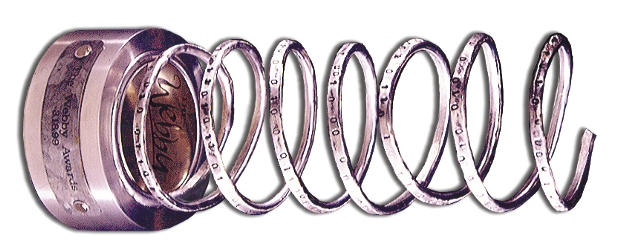 Se entregaron los Webby o los Oscar de Internet | Los Premios Webby destacan cada año las mejores páginas de la red.