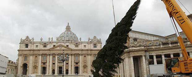 El árbol de Navidad del Vaticano ya fue puesto en la plaza de San Pedro | Reuters | El árbol será encendido el 16 de diciembre.