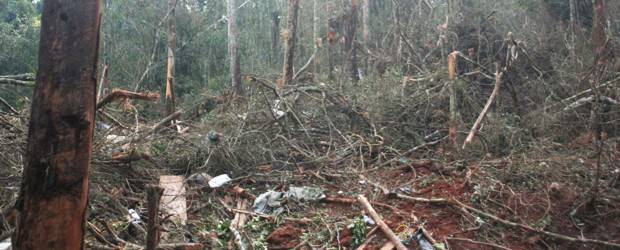 Santos dijo que abatir a "Mono Jojoy" es como si hubiera ocurrido lo mismo con Osama bin Laden | Cortesía Fuerzas Armadas | El campamento estaba escondido en la espesa selva de la Serranía de La Macarena, Meta.