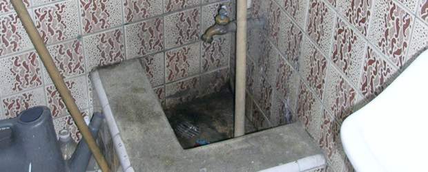 Hasta 1.000 especies de microbios entran a la casa | Archivo | Las pocetas son fuente de microbios. Un estudio en Clinical Microbiological Reviews, hablaba en 2003 de infecciones severas por S. chartarum y otros hongos.