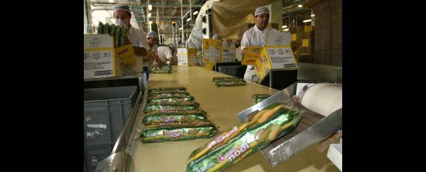 Noel invierte en modernización | Archivo | 3.000 millones de pesos invirtió Noel en las nuevas galletas para el público infantil. El plan de modernización demanda unos 30.000 millones de pesos.