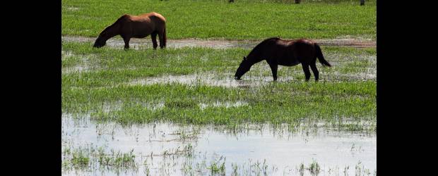 Lluvias no dan paso al 'veranillo' y aumentan sus daños | Archivo | El río Magdalena se ha desbordado en diferentes regiones del país, lo mismo que el Cauca y otras corrientes de agua.