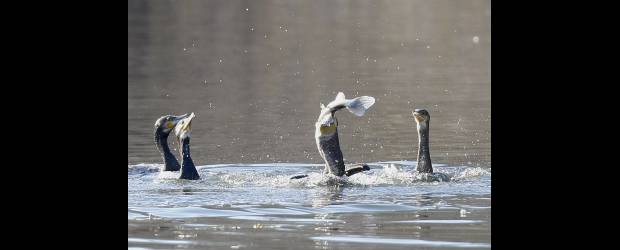 A recuperar los valores | AP |